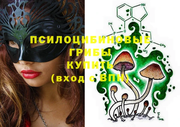ГАЛЛЮЦИНОГЕННЫЕ ГРИБЫ Арсеньев