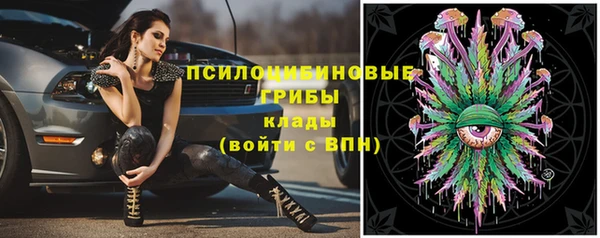 твердый Алзамай